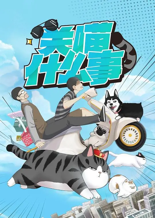 《关喵什么事》：铲屎官必看！爆笑又感人的猫咪奇遇记，萌化你的心！