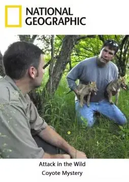 《野外攻击》：丛林求生还是人性沦丧？揭秘残酷生存法则，肾上腺素飙升！