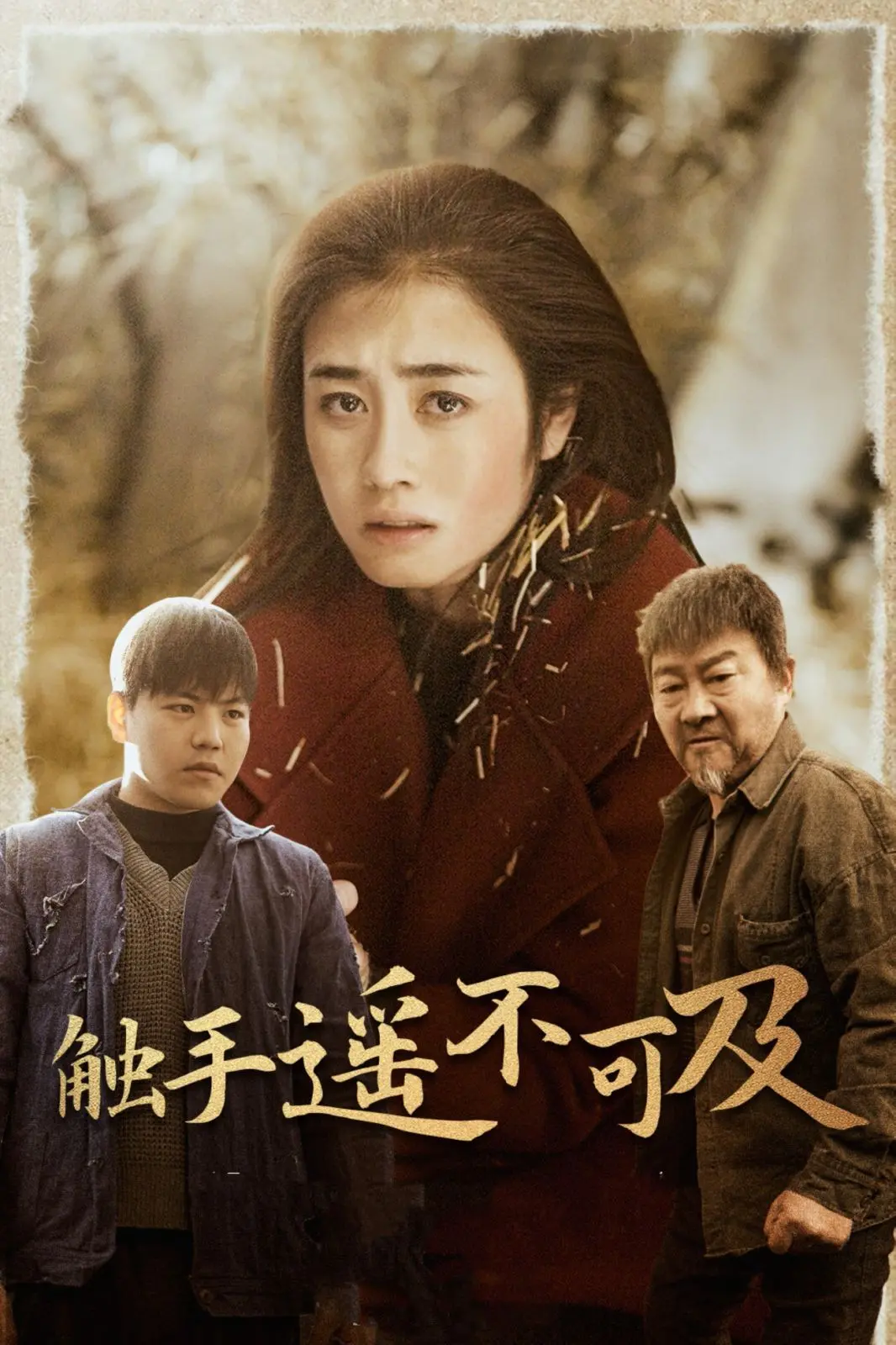 《触手遥不可及 太阳照常升起》：情感的深渊与救赎，家族羁绊的宿命回响